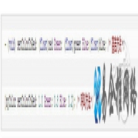 objective-c基础教程
