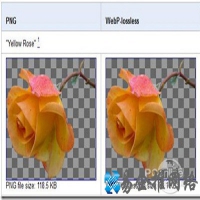 webp是什么文件，怎么打开