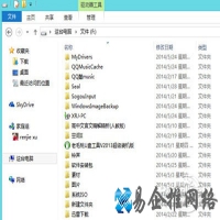 tdlex是什么文件
