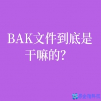bak文件是什么，bak文件可以删除吗