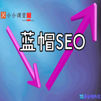 SEO培训态度需要自己体会（这是SEO人员对社会的进步）