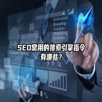 SEO常用的搜索引擎指令有哪些？