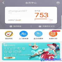 旺旺id是什么？旺旺id怎么查看