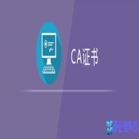 ca是什么意思(财务ca医学ca是什么意思)？