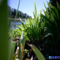 尼康微距镜头有哪些？尼康微距镜头推荐