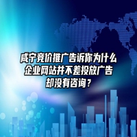 咸宁竞价推广告诉你为什么企业网站并不差投放广告却没有咨询？