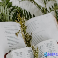 background属性有哪些，background用法