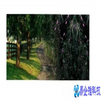 cdr透明度怎么调，cdr透明度调整方法