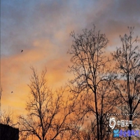 ps修改文字，ps去除文字教程