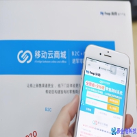 b2c是什么意思，b2c有哪些电商平台