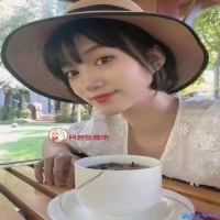 网站SEO垃圾链接处理（网站SEO对链接的基本操作）