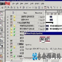 mpp文件用什么打开