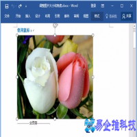 word怎么编辑图片，word编辑图片方法