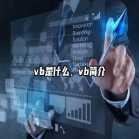 vb是什么，vb简介
