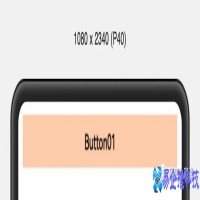 button属性，button设置自定义属性