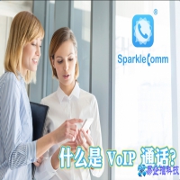 voip是什么意思，voip通话是什么