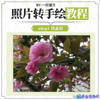 图片怎么转手绘，PS图片转手绘的方法