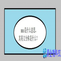 mms是什么意思，mms详解
