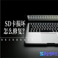 SD卡损坏怎么修复？这些方法非常好用