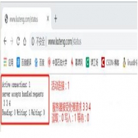 Nginx网站服务器安装步骤及Nginx配置文件的解析方法