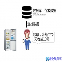 什么是数据库，sql数据库是什么