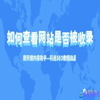 怎么查看网站被收录了，网站收录查询方法