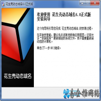 什么是动态域名解析？