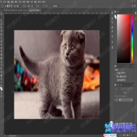 ps怎么打马赛克，ps打马赛克的几种方法
