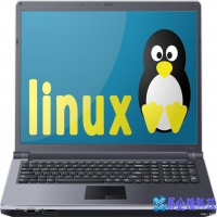 linux查看文件夹大小，查看文件大小常用命令(df、du、stat)（详解）