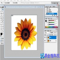 ps怎么消除锯齿，ps消除锯齿方法【图文教程】