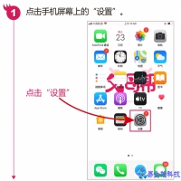 苹果账户怎么登录，苹果账户登录流程