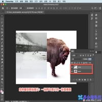 ps如何拼图？ps拼图成一张图片的制作方法