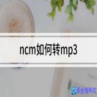 ncm格式如何转换成mp3【3种方法】