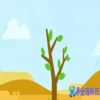 蚂蚁森林有什么用？蚂蚁森林种树的好处