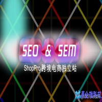 外贸SEO还是SEM优化的思路（外贸SEO还是SEM两者核心详解）