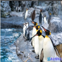 backgroundimage用法，backgroundimage使用技巧