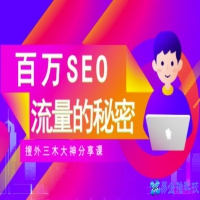 SEO流量助力网站质量提升（SEO网站提升权重培训指导）
