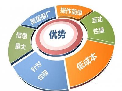 网络营销是做什么的？网络营销投入的成本高吗？