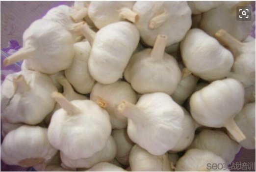 大蒜的功效与作用