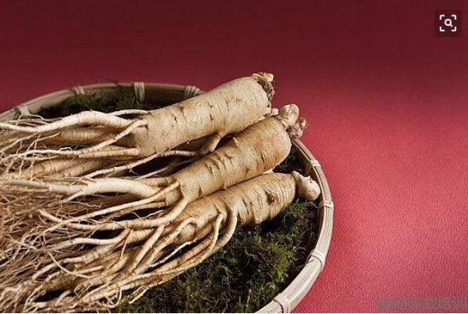 人参的功效与作用