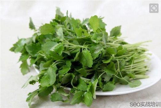 益母草的功效与作用