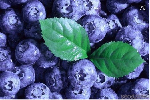 蓝莓的功效与作用