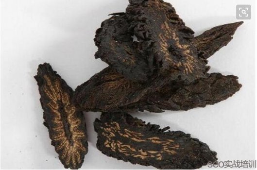 肉苁蓉的功效与作用