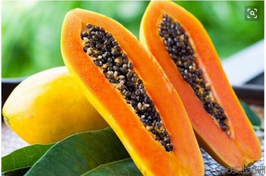 木瓜的功效与作用