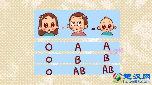 什么是新生儿溶血症？竟是因为夫妻血型不合所引起的！