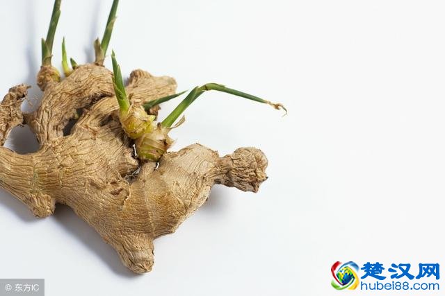 发芽的大蒜、生姜还能吃吗？这几种食物发芽后会带毒，一口都别碰