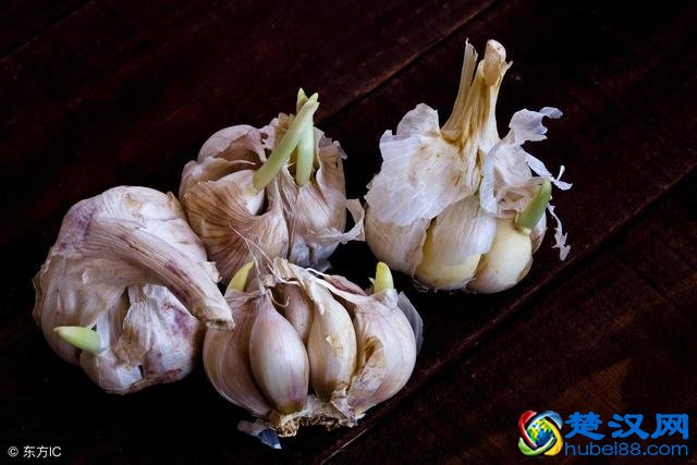 发芽的大蒜、生姜还能吃吗？这几种食物发芽后会带毒，一口都别碰