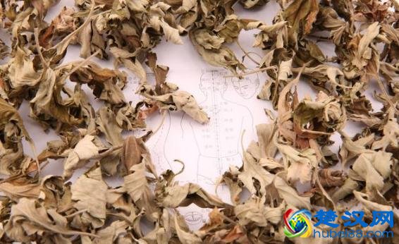 艾叶泡脚能治疗哪些疾病，艾叶泡脚对身体有哪些好处？