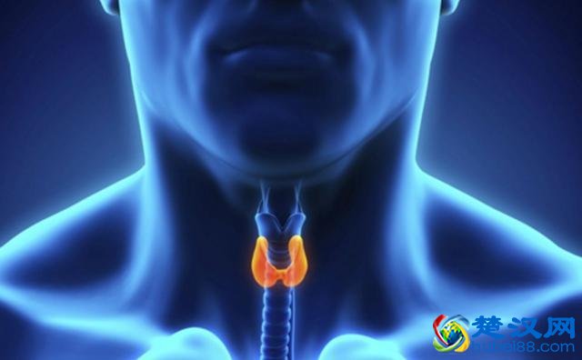 咽喉炎最佳治疗方法 这些小偏方治疗咽喉炎超管用