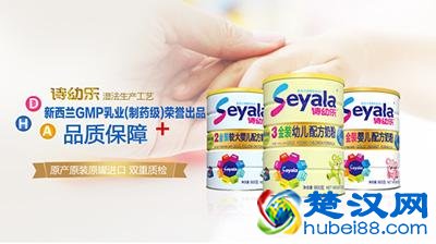 中国2017进口婴儿奶粉潜力十大品牌影响力排行